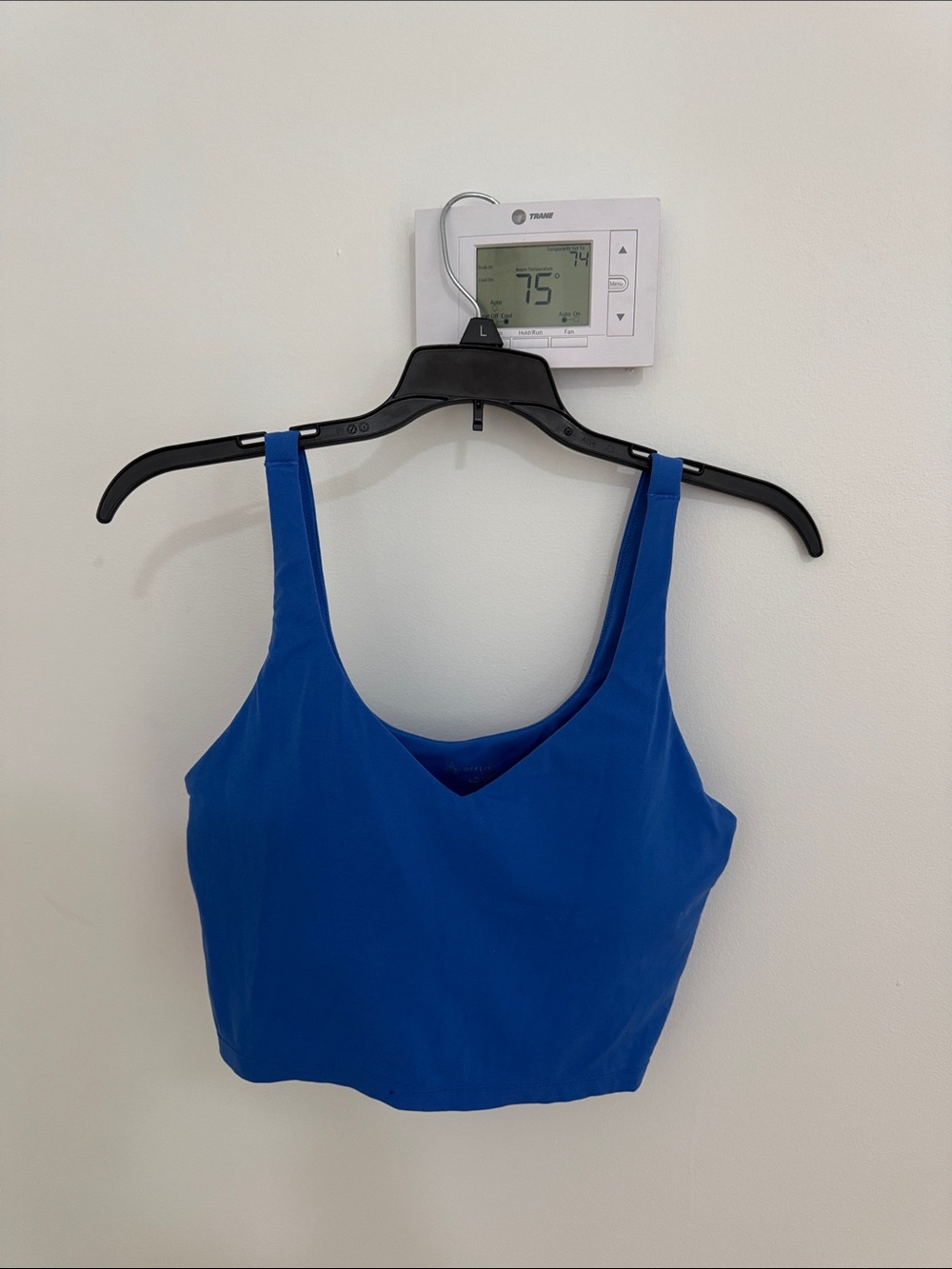 Aerie cropped bra tank